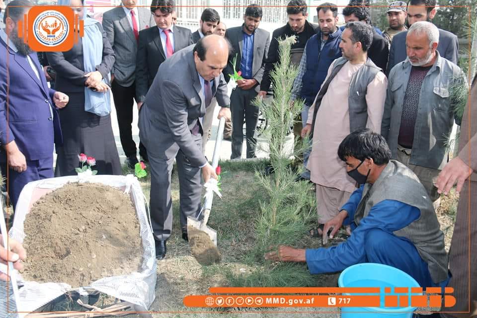 بی